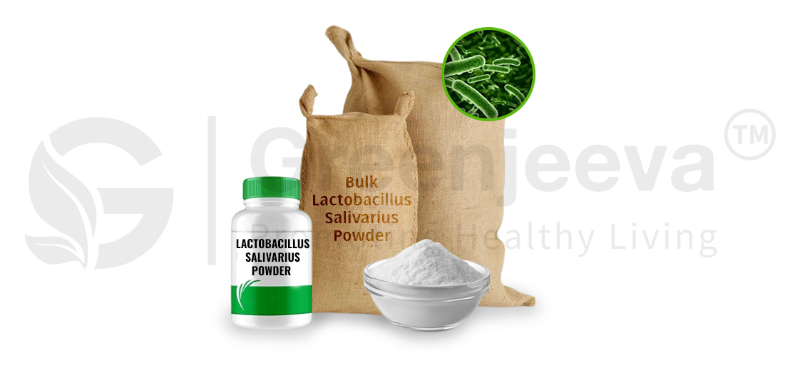 bulk Lactobacillus salivarius powder