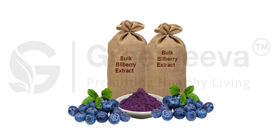 Organic Bilberry Extract