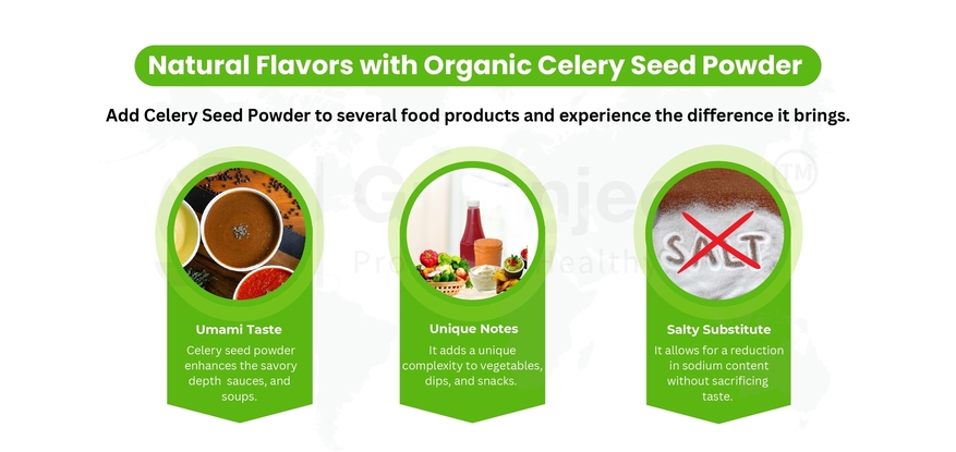  organic celery seed powder