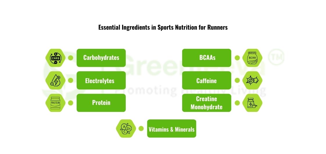 carnitine vs acetyl l carnitine What Ingredients Makes an Effective Supplements for Runners