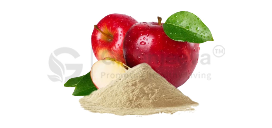 wholesale apple powder